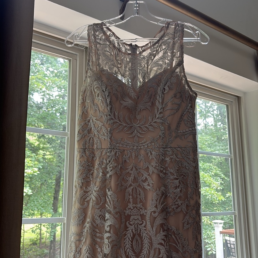 Alex Evenings Silver Lace Dress - Picture 5 of 6
